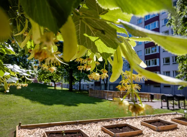 3 rums lägenhet i Norrköping