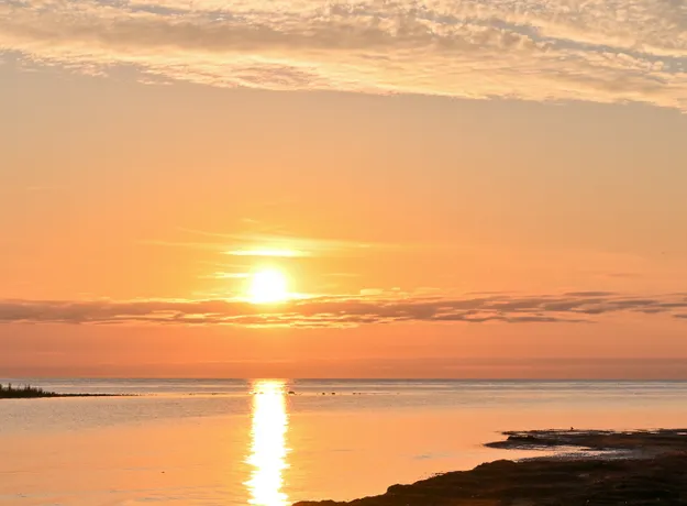 1 rums lägenhet i Klintehamn