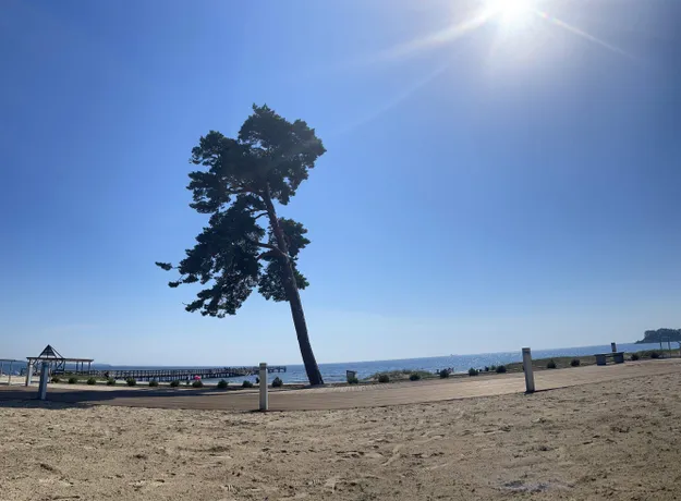 2 rums lägenhet i Åhus